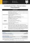 Curriculum Vitae Miniature